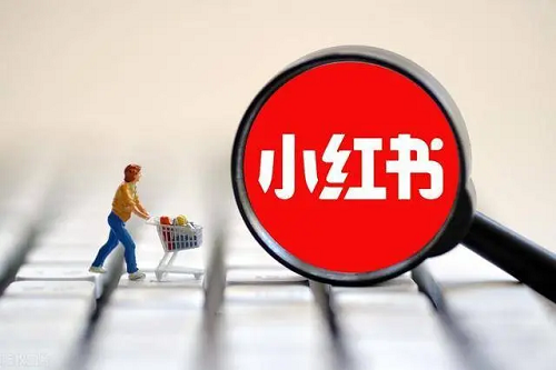 小紅書怎么種草？